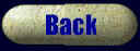 Go back to home page.